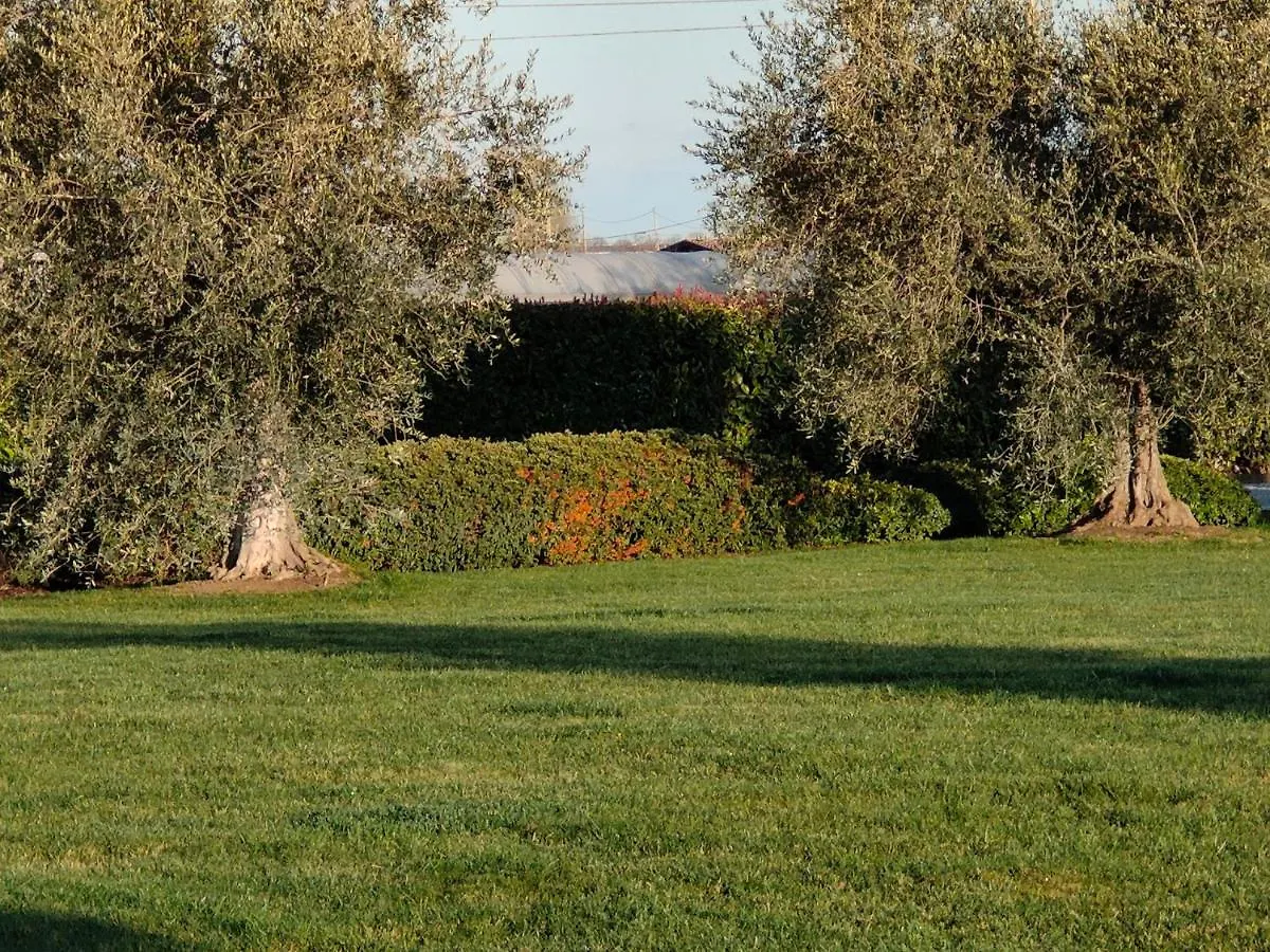 B&B Villa Letizia San Vito  Bed & Breakfast