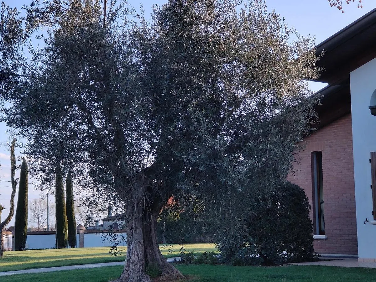 B&B Villa Letizia San Vito