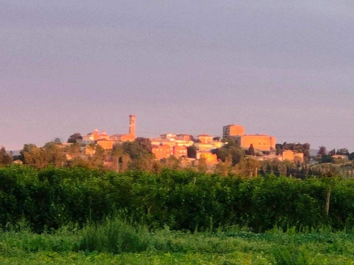 Bed & Breakfast B&B Villa Letizia San Vito  Italy