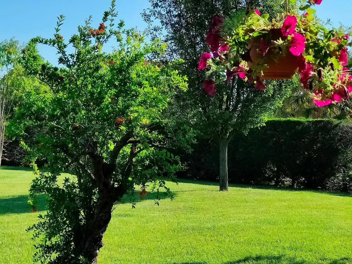 B&B Villa Letizia San Vito  0*, San Vito (Rimini) Italy
